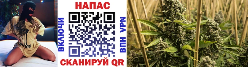 Где купить Игра ГАШ Cocaine Меф
