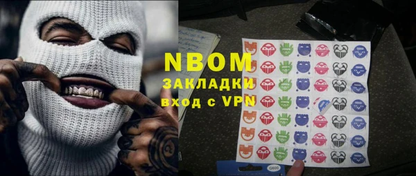 индика Алзамай