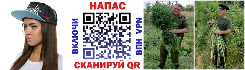 продажа наркотиков Игра Шишки марихуана тримм